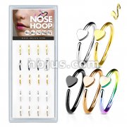 Pre Loaded Box of Nose Hoops IP Plated Over 316L Surgical Steel with Heart